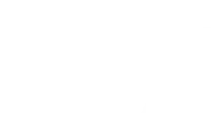 just-junk-logo
